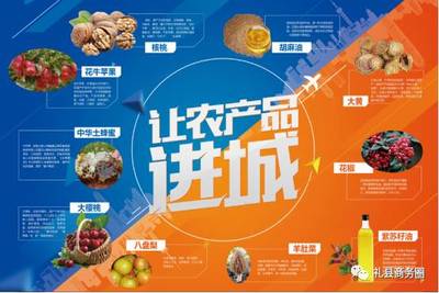 礼县 电商进农村激活乡村振兴新动能